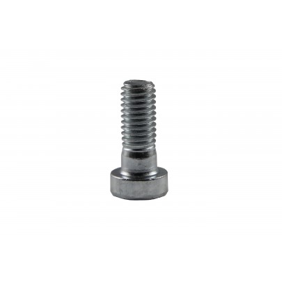 Cylinder screw M8 x 20 mm